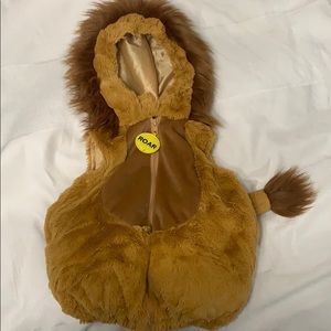 Lion costume